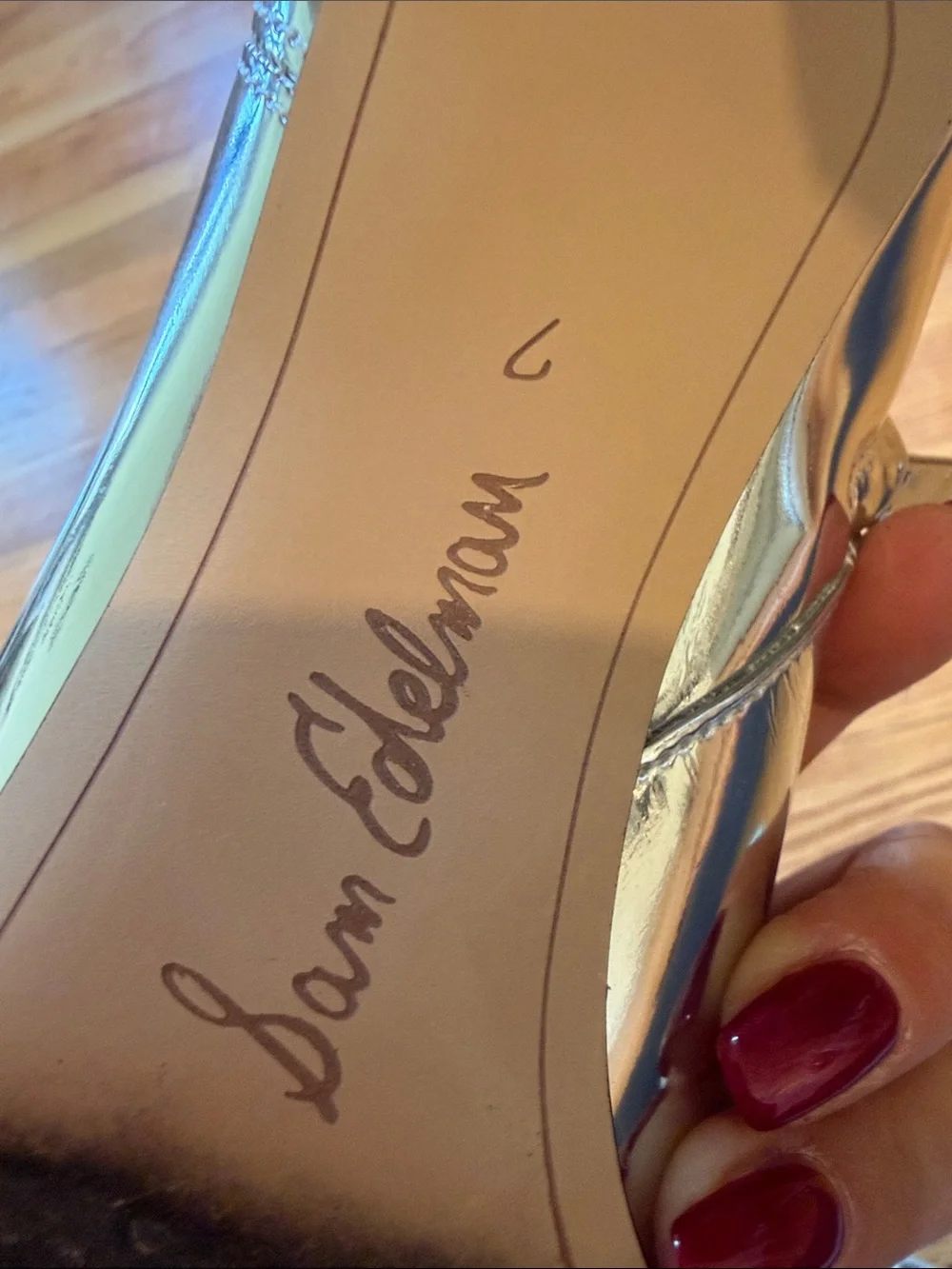 Sam Edelman Metallic Silver Pointed Toe Ankle Booties